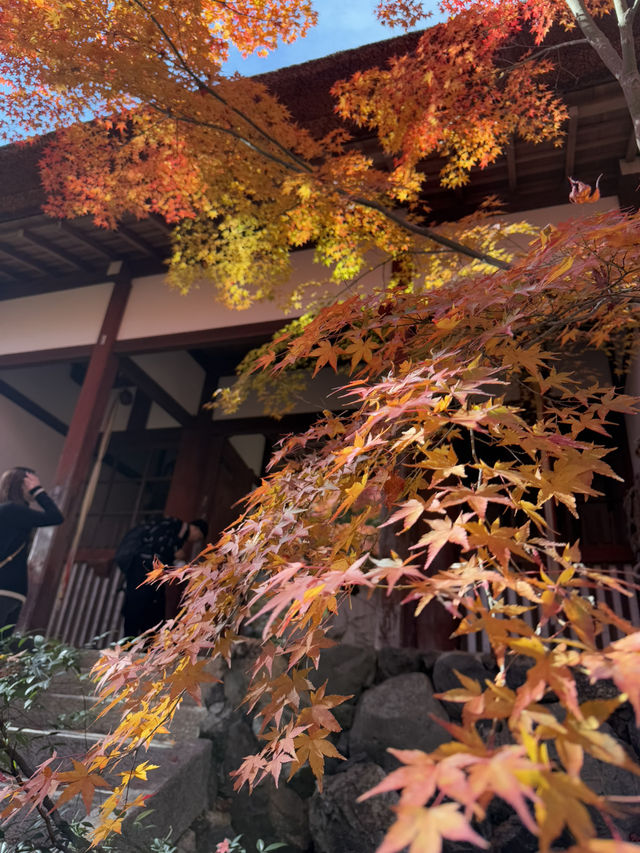 京都｜盡顯禪意之美-常寂光寺 風水布局與神佛傳說