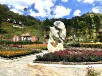 Frost-Kissed Floral Haven @Betong