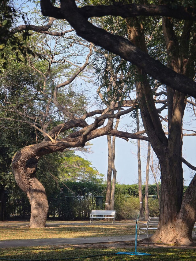 Mrigadayavan Palace 
