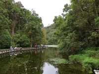 宜蘭員山景點-福山植物園