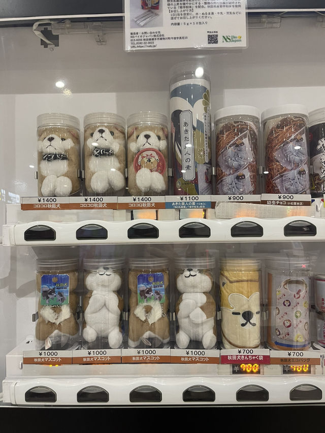 Discover the Charm of Akita Airport