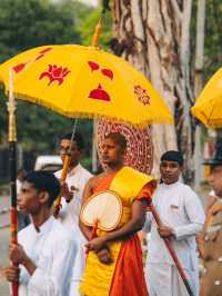 A Day on the Streets of Colombo: Color, Chaos, and Conversations