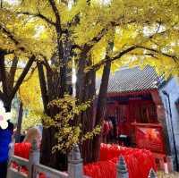ขอพรความรัก @ Hongluo Temple (红螺寺)