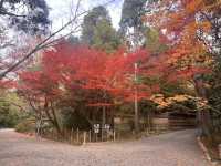 One-Hour Sojourn at Ryoan-ji Temple