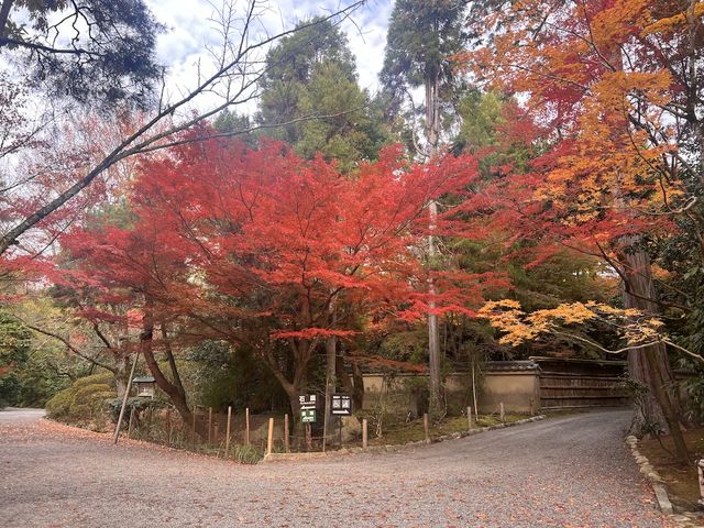 One-Hour Sojourn at Ryoan-ji Temple