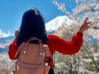 Mt. Fuji in a Day: Cherry Blossoms and Scenic Views