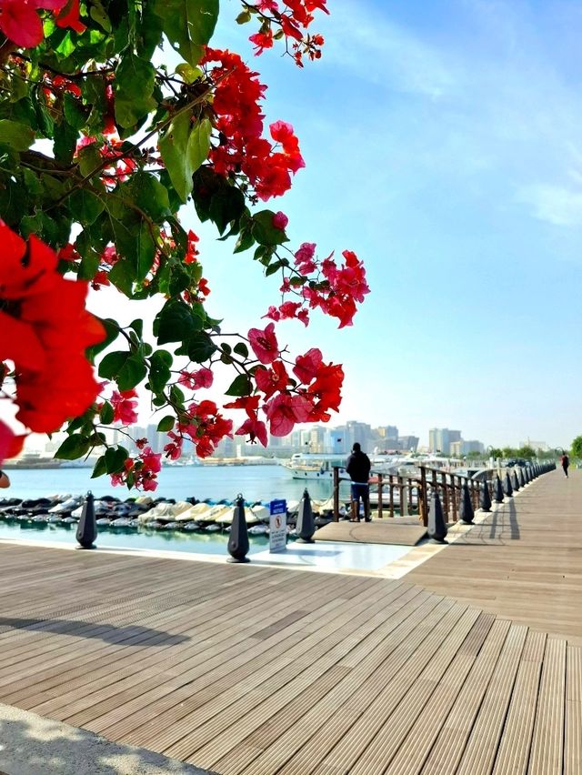 Old Doha Port in the Morning