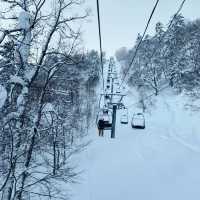 Unforgettable Powder at Furano Ski Resort 🇯🇵
