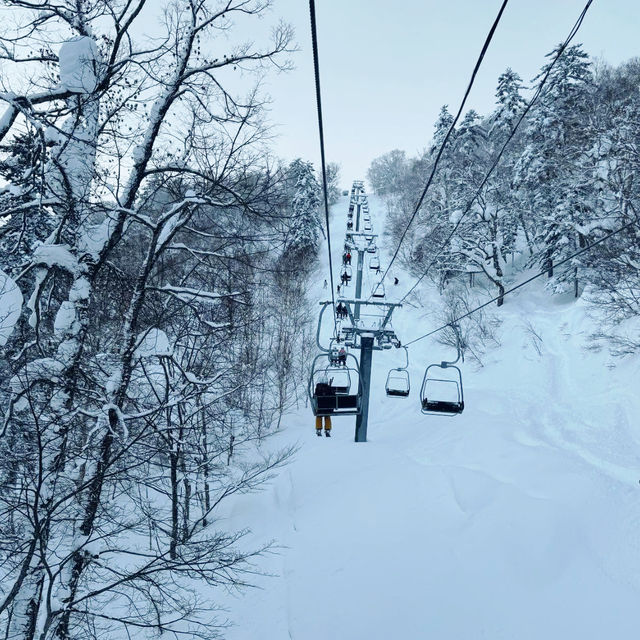 Unforgettable Powder at Furano Ski Resort 🇯🇵