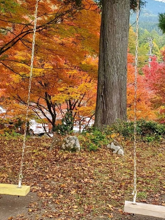 燃えるような紅葉、自然の表情を楽しむ