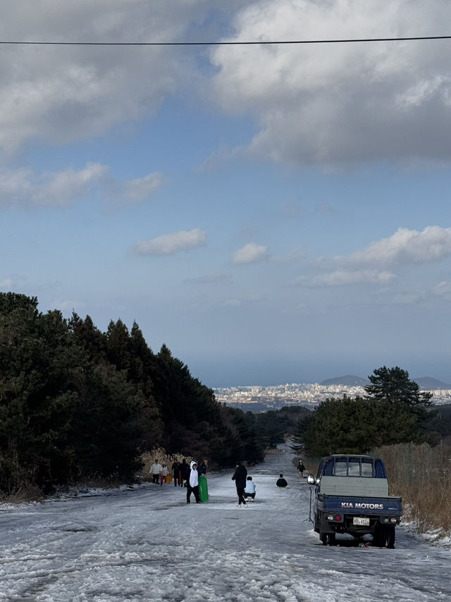 겨울 제주! 1100 프로로 즐기기!!
