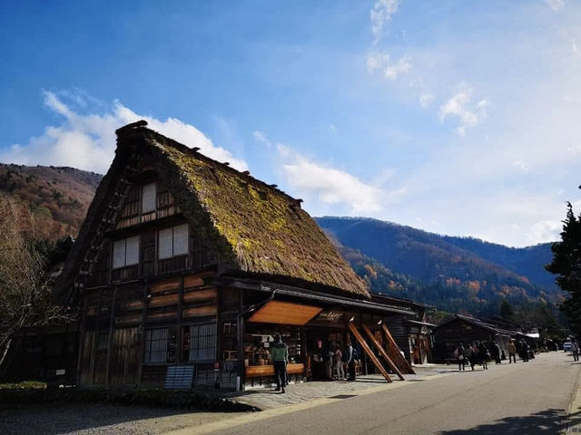 🏯✨ A Perfect Day Trip to Shirakawa-go: Japan’s Enchanting World Heritage Village! 🌿🏡