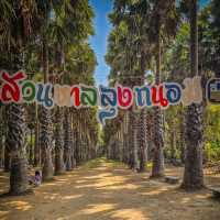 เที่ยวสวนตาล ชิมน้ำตาลสด และของฝาก เพชรบุรี