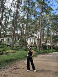 พักฮีลใจที่ สวนป่าดอยบ่อหลวง 🌲