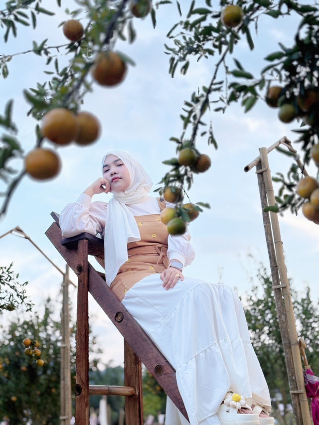 สวนส้มบ้านในไร่ อ.อ่าวลึก จ.กระบี่ 🍊🪴