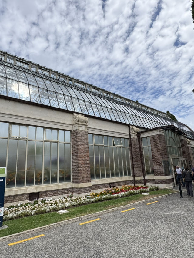 紐西蘭🇳🇿奧克蘭 城市之肺 中央溫室花園 繽紛綻放的花朵讓人心曠神怡！