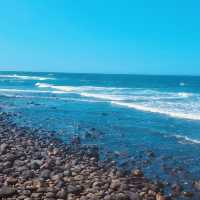 Natural Music Therapy 🌊🧘‍♀️