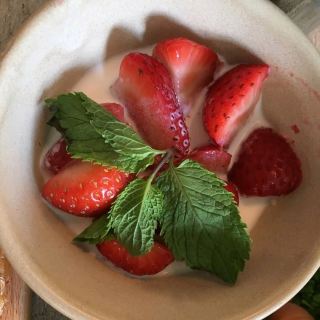 사랑스러운 음식 선택.