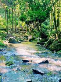 まるで異世界！裏側から眺める絶景🌳