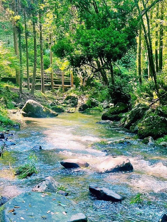 まるで異世界！裏側から眺める絶景🌳