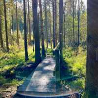 De Biesbosch National Park
