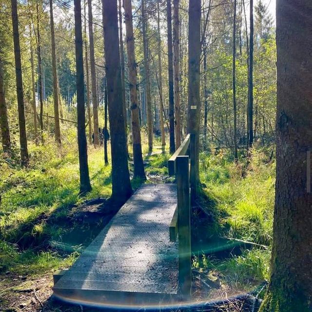 De Biesbosch National Park