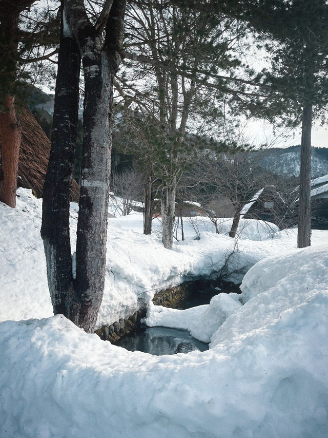 인생에서 꼭 한번 가봐야 할 겨울 여행지❄️
