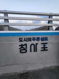 청사포 쌍둥이 등대는 꼭 보고가세요