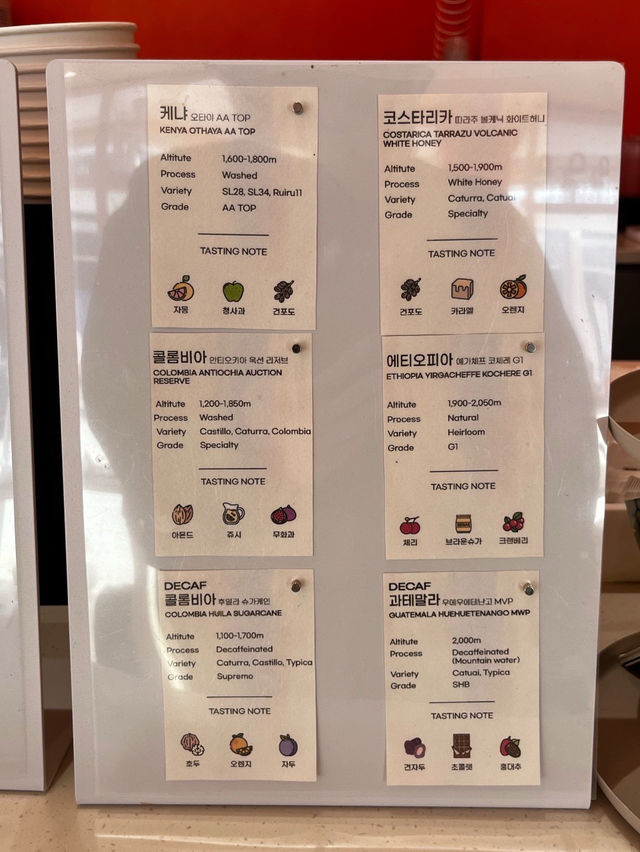 강원도 원주 🩷얼음절벽 까페 스톤크릭