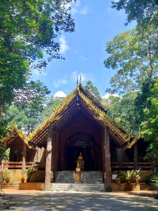 ลอดประตูสวรรค์ ✨วัดสวยกลางป่า 🌿