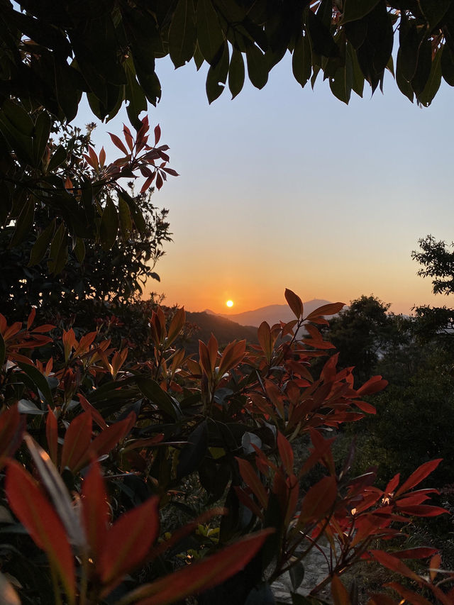 彎曲山⛰️，一覽西貢全景的麥理浩徑四段路線