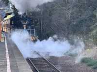 I saw SL train by accident 