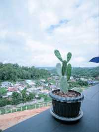 บาดอนโซ่ คาเฟ่ badonso cafe’ ร้านกาแฟแห่งขุนเขา