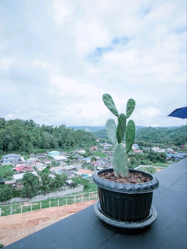 บาดอนโซ่ คาเฟ่ badonso cafe’ ร้านกาแฟแห่งขุนเขา