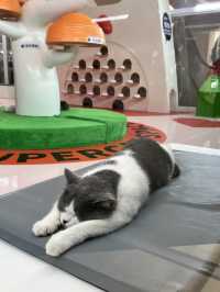 2 วันในเซินเจิ้น