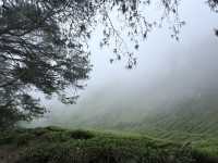 Get lost in nature’s beauty…