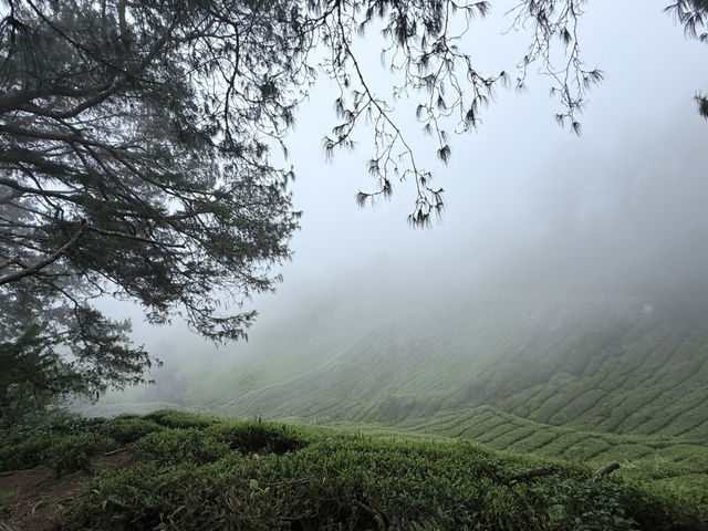 Get lost in nature’s beauty…