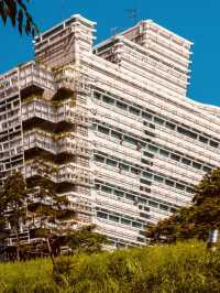 Spring's Hilltop Haven: Naksan's Serene Escape