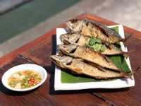 🌿หนีเมืองมาพักใจ☕️คาเฟ่อาหาร 🏝ท่ามกลางธรรมชาติ