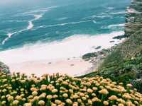 🌊 The Cape of Good Hope – Where the Ocean Meets the Soul