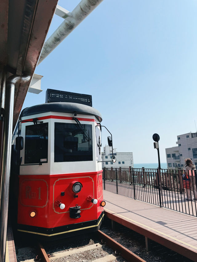 미포 해변열차, 바다 옆으로 달리는 낭만 열차 🚂🌊