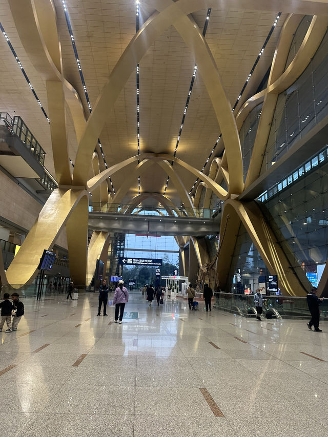 【中国🇨🇳昆明】お花いっぱいの空港✈️