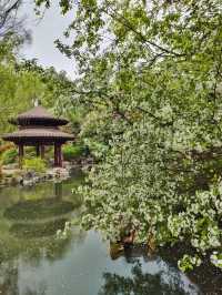 Yingzhou Isle: Nanjing’s Tranquil Lakeside Retreat