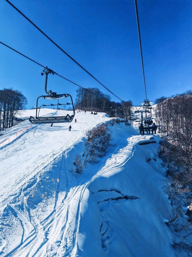 เล่นสกี ที่ Gala Yuzawa 