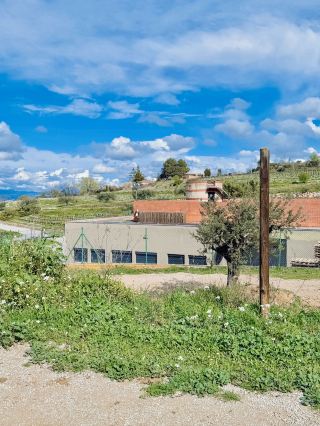 스페인을 간다면 와이너리에 방문 해보세요 ❤️