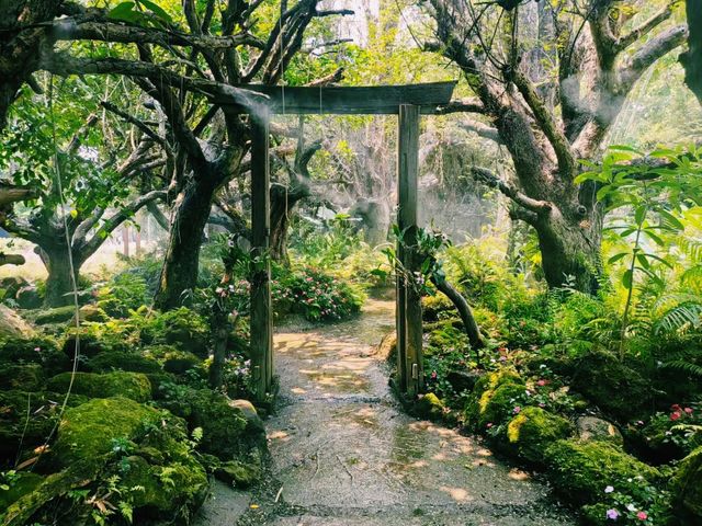 泰國清邁著名公園景點：Dantewada 天使之地瀑布公園，適合打卡拍照📸親子遊