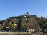 【香川】日本一高い石垣⁈現存12天守のうちのひとつ・丸亀城