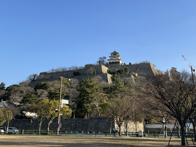 【香川】日本一高い石垣⁈現存12天守のうちのひとつ・丸亀城