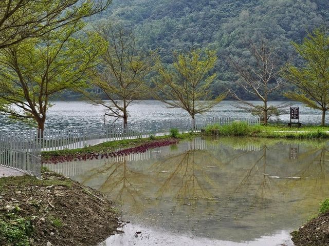 花蓮〔鯉魚潭〕悠然湖光下的心靈釋放