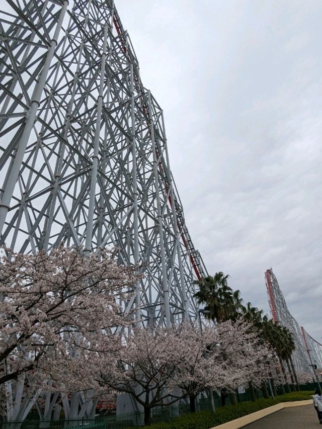 ナガシマスパーランド